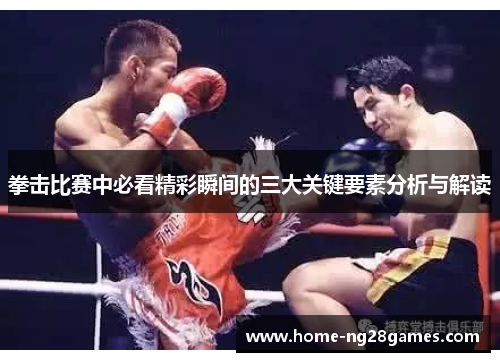 拳击比赛中必看精彩瞬间的三大关键要素分析与解读