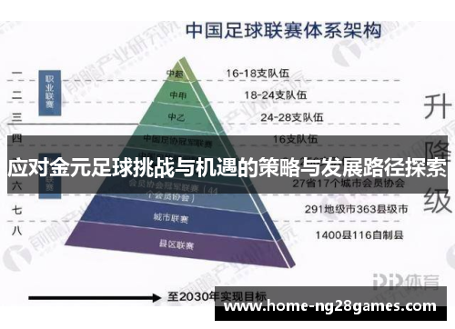 应对金元足球挑战与机遇的策略与发展路径探索