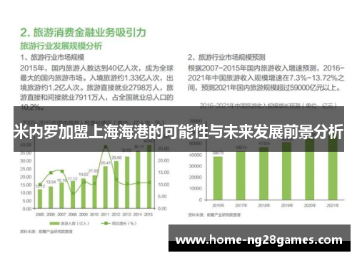 米内罗加盟上海海港的可能性与未来发展前景分析