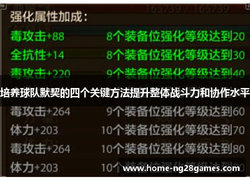 培养球队默契的四个关键方法提升整体战斗力和协作水平