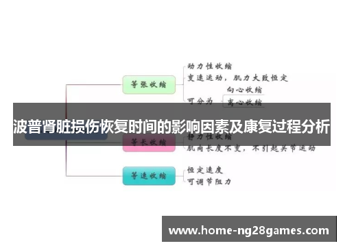 波普肾脏损伤恢复时间的影响因素及康复过程分析