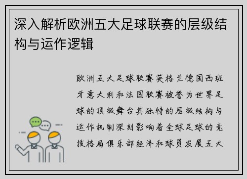 深入解析欧洲五大足球联赛的层级结构与运作逻辑