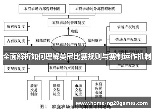 全面解析如何理解英冠比赛规则与赛制运作机制