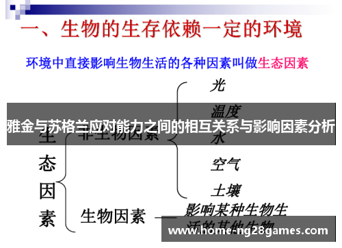 雅金与苏格兰应对能力之间的相互关系与影响因素分析