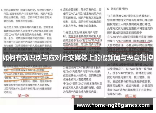 如何有效识别与应对社交媒体上的假新闻与恶意指控