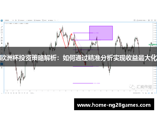 欧洲杯投资策略解析：如何通过精准分析实现收益最大化