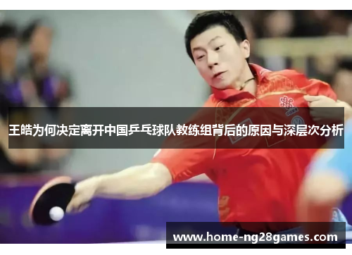 王皓为何决定离开中国乒乓球队教练组背后的原因与深层次分析
