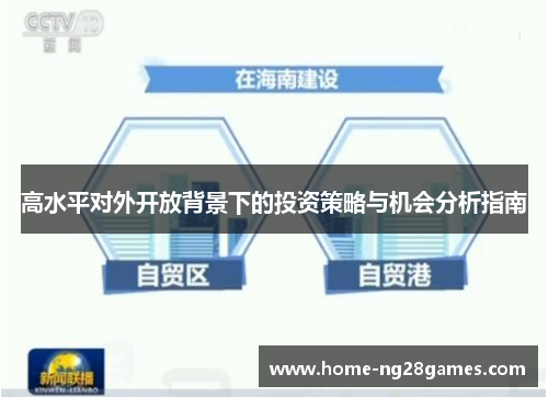 高水平对外开放背景下的投资策略与机会分析指南
