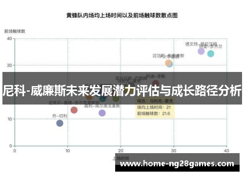 尼科-威廉斯未来发展潜力评估与成长路径分析