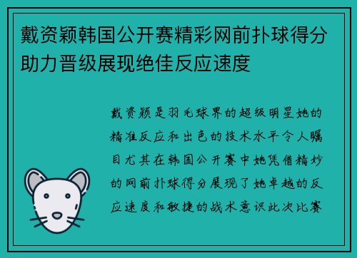 戴资颖韩国公开赛精彩网前扑球得分助力晋级展现绝佳反应速度