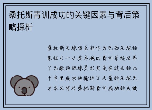 桑托斯青训成功的关键因素与背后策略探析